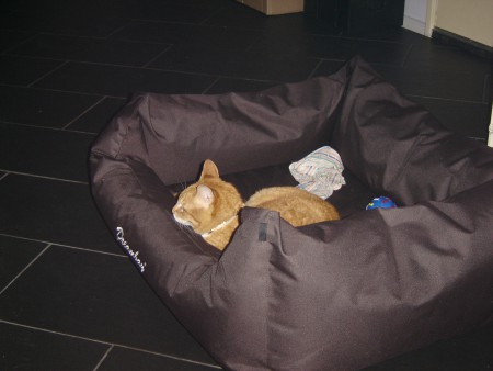 Wat een lekkere mand!