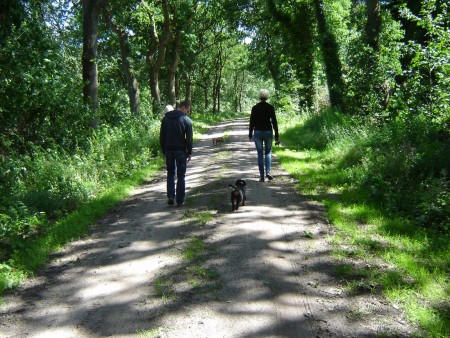 Wandelen met Lilo