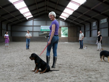 Puppy cursus