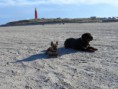 /album/texel-16-18-11-2012/texel12-jpg/